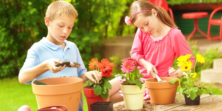 Jakie rośliny uprawiać z dziećmi